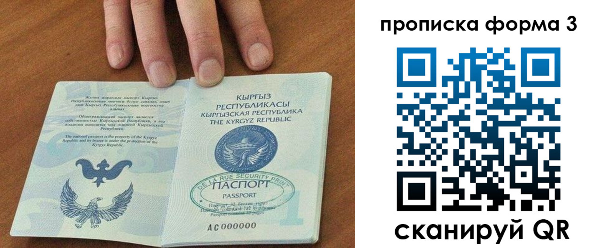 прописка 2025 в Балашихе